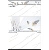 Gạch ốp tường giá rẻ 300x600 P36790