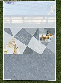 Gạch ốp tường giá rẻ 300x600 PHK36007