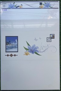 Gạch ốp tường giá rẻ 300x600 R3608
