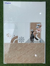 Gạch ốp tường giá rẻ 300x600 RT3609