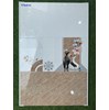 Gạch ốp tường giá rẻ 300x600 RT3609