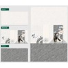 Gạch ốp tường giá rẻ 300x600 RT3611