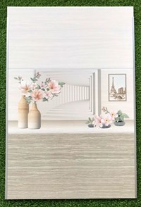 Gạch ốp tường giá rẻ 300x600 ST3640