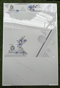 Gạch ốp tường giá rẻ 300x600 TP3661