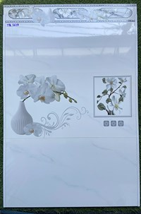 Gạch ốp tường giá rẻ 300x600 TQ3619