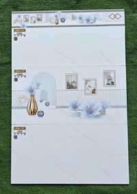 Gạch ốp tường giá rẻ 30x60 A36066