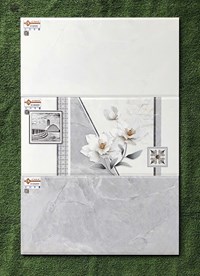 Gạch ốp tường giá rẻ 30x60 EC36048S