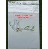 Gạch ốp tường giá rẻ 300x600 GR36051
