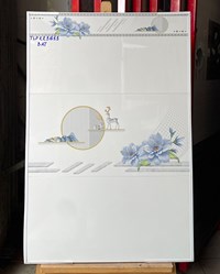 Gạch ốp tường giá rẻ 30x60 TLP-KR3613