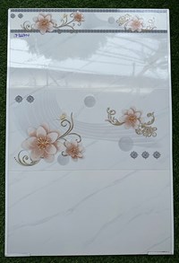 Gạch ốp tường giá rẻ 30x60 TP3667