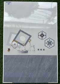 Gạch ốp tường giá rẻ 30x60 TP3668
