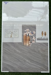 Gạch ốp tường giá rẻ 30x60 TP3669