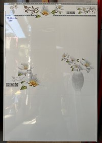 Gạch ốp tường giá rẻ 30x60 TQA36212