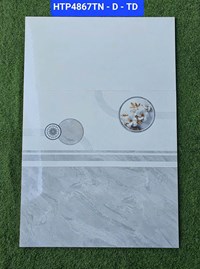 Gạch ốp tường giá rẻ 40x80 HTP4867