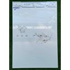 Gạch ốp tường giá rẻ 40x80 LB4803