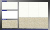 Gạch ốp tường Grandcera Phương Nam 40x80 LX48007``