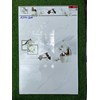 Gạch ốp tường Prime 30x60 15341