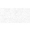 Gạch ốp tường Prime 30x60 8569