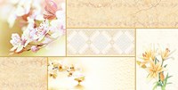 Gạch ốp tường Prime 30x60 8574