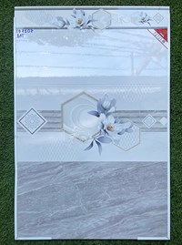 Gạch ốp tường Prime 30x60 XĐ7107