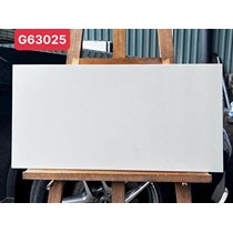Gạch ốp tường Taicera 30x60 G63025