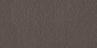 Gạch ốp tường Taicera 30x60 G63521