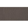 Gạch ốp tường Taicera 30x60 G63521
