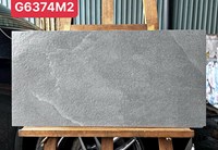 Gạch ốp tường Taicera 30x60 G6374M2