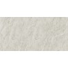 Gạch ốp tường Taicera 30x60 G63763