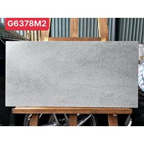 Gạch ốp tường Taicera 30x60 G6378M2