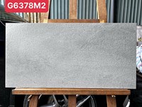 Gạch ốp tường Taicera 30x60 G6378M2