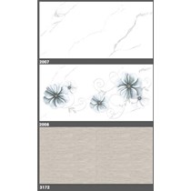 Gạch ốp tường Tasa 30x60 2007-2008
