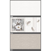 Gạch ốp tường Tasa 30x60 2009-2010-2011