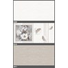Gạch ốp tường Tasa 30x60 2009-2010-2011