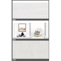 Gạch ốp tường Tasa 30x60 3105-2605-2675