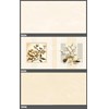 Gạch ốp tường Tasa 30x60 3524-3525-3526
