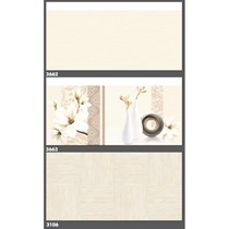 Gạch ốp tường Tasa 30x60 3662-3663
