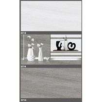 Gạch ốp tường Tasa 30x60 3713-3714-3774