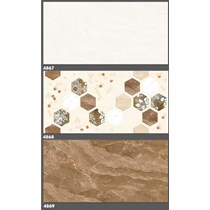 Gạch ốp tường Tasa 40x80 4867-4868-4869