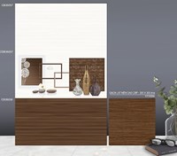 Gạch ốp tường TTC 30x60 CB36057-CB36058