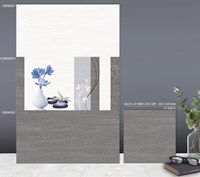 Gạch ốp tường TTC 30x60 CM36001-CM36002