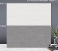 Gạch ốp tường TTC 30x60 EX36319-EX36320 đá nhám