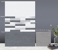 Gạch ốp tường TTC 30x60 VB36033-VB36034