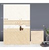 Gạch ốp tường TTC 30x60 VB36051