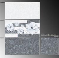 Gạch ốp tường TTC 30x60 WB36063-WB36064