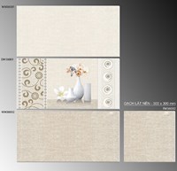 Gạch ốp tường TTC 30x60 WM36001-WM36002