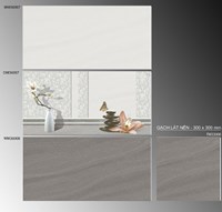 Gạch ốp tường TTC 30x60 WM36007-WM36008