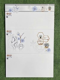 Gạch ốp tường Ý Mỹ 30x60 C36000