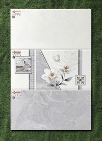 Gạch ốp tường Ý Mỹ 30x60 EC36048S
