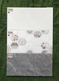 Gạch ốp tường Ý Mỹ 30x60 EM36021S